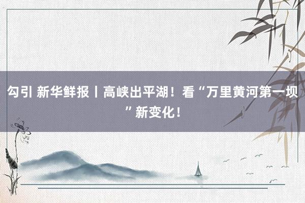 勾引 新华鲜报丨高峡出平湖！看“万里黄河第一坝”新变化！