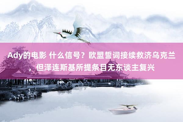 Ady的电影 什么信号？欧盟誓词接续救济乌克兰，但泽连斯基所提条目无东谈主复兴