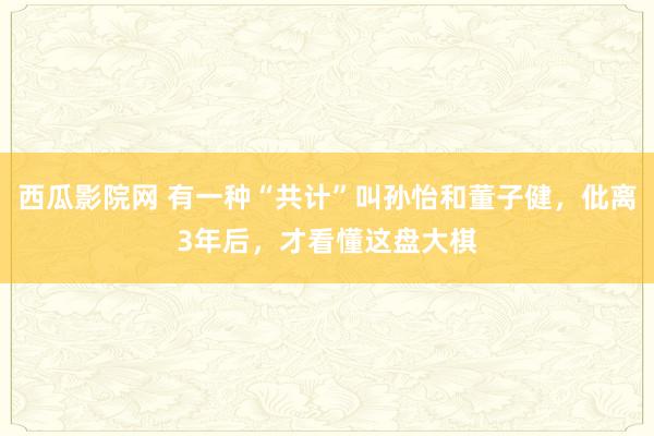 西瓜影院网 有一种“共计”叫孙怡和董子健，仳离3年后，才看懂这盘大棋