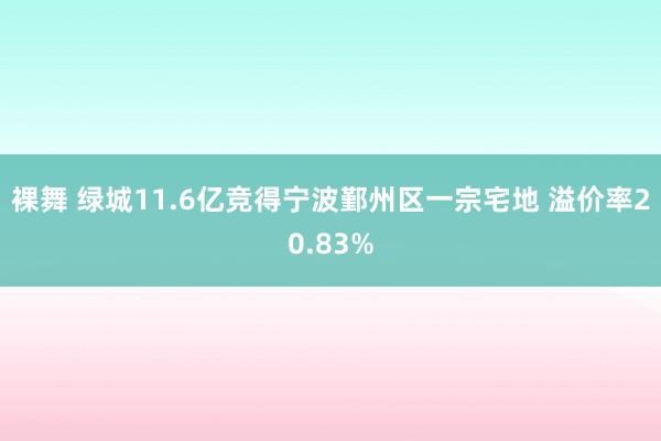 裸舞 绿城11.6亿竞得宁波鄞州区一宗宅地 溢价率20.83%
