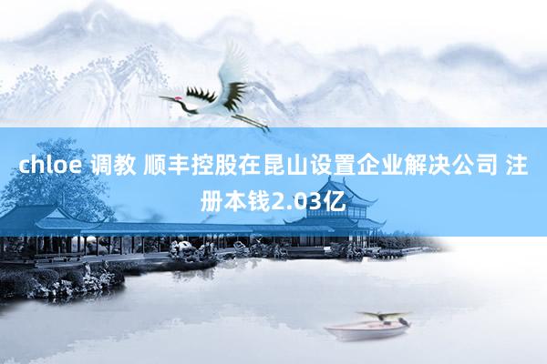chloe 调教 顺丰控股在昆山设置企业解决公司 注册本钱2.03亿