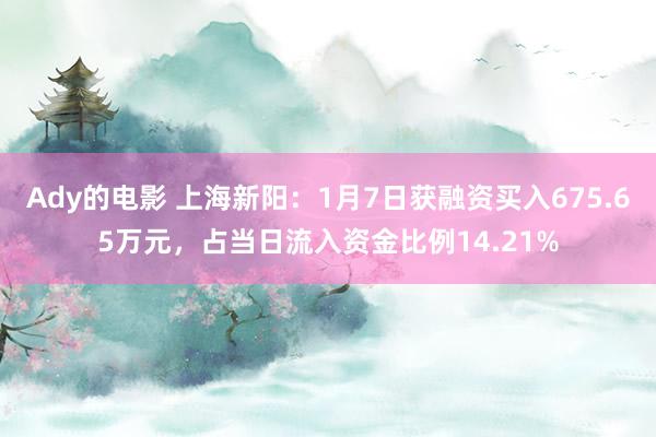 Ady的电影 上海新阳：1月7日获融资买入675.65万元，占当日流入资金比例14.21%