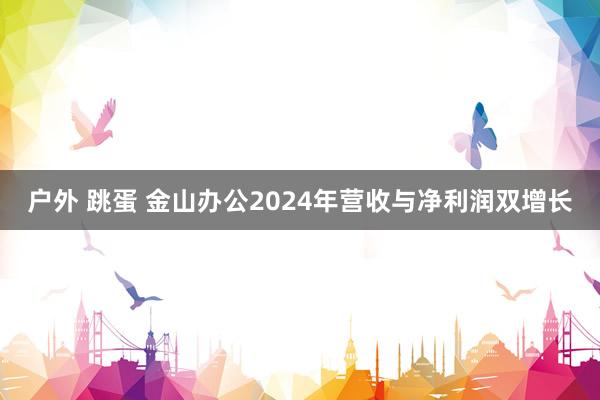 户外 跳蛋 金山办公2024年营收与净利润双增长