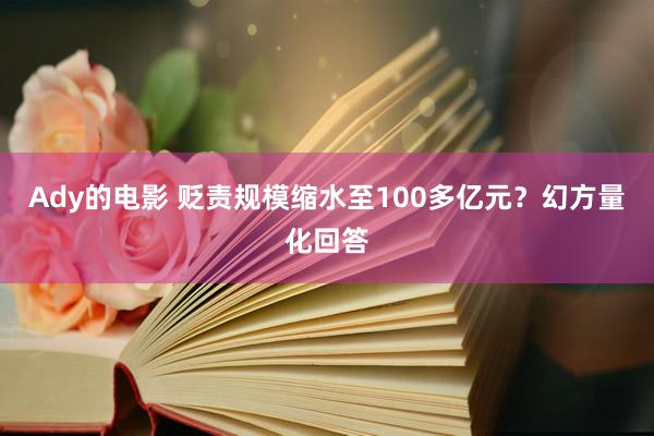 Ady的电影 贬责规模缩水至100多亿元？幻方量化回答
