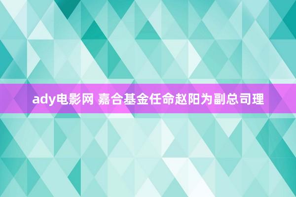 ady电影网 嘉合基金任命赵阳为副总司理