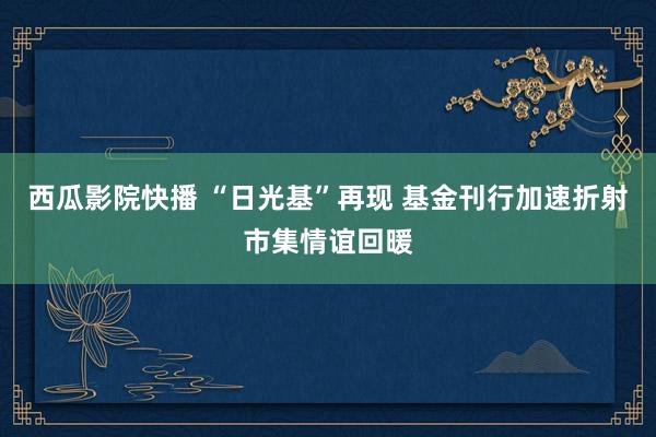 西瓜影院快播 “日光基”再现 基金刊行加速折射市集情谊回暖