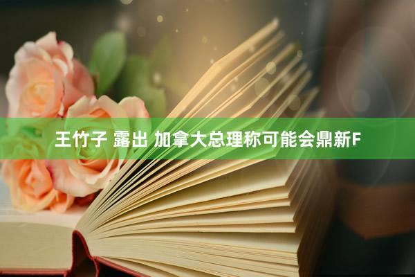 王竹子 露出 加拿大总理称可能会鼎新F