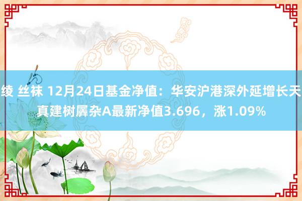 绫 丝袜 12月24日基金净值：华安沪港深外延增长天真建树羼杂A最新净值3.696，涨1.09%