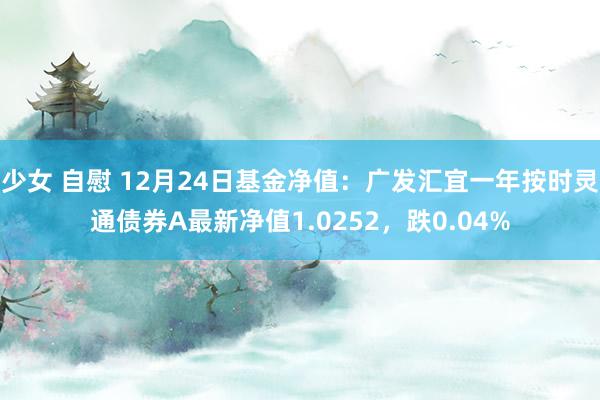 少女 自慰 12月24日基金净值：广发汇宜一年按时灵通债券A最新净值1.0252，跌0.04%