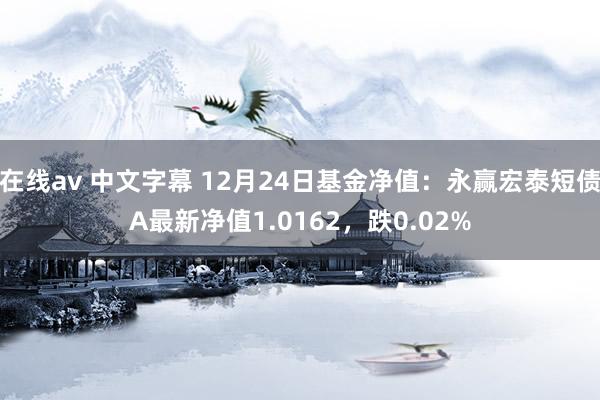 在线av 中文字幕 12月24日基金净值：永赢宏泰短债A最新净值1.0162，跌0.02%