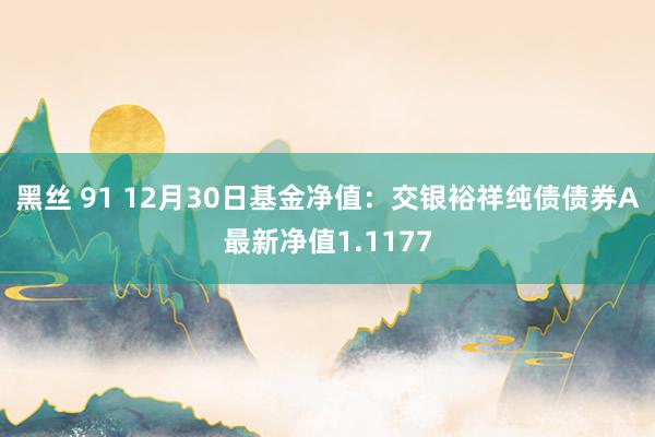 黑丝 91 12月30日基金净值：交银裕祥纯债债券A最新净值1.1177