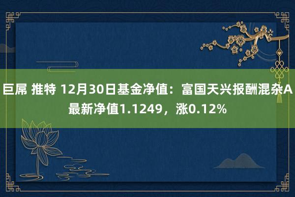巨屌 推特 12月30日基金净值：富国天兴报酬混杂A最新净值1.1249，涨0.12%