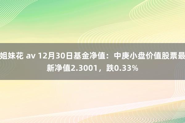 姐妹花 av 12月30日基金净值：中庚小盘价值股票最新净值2.3001，跌0.33%