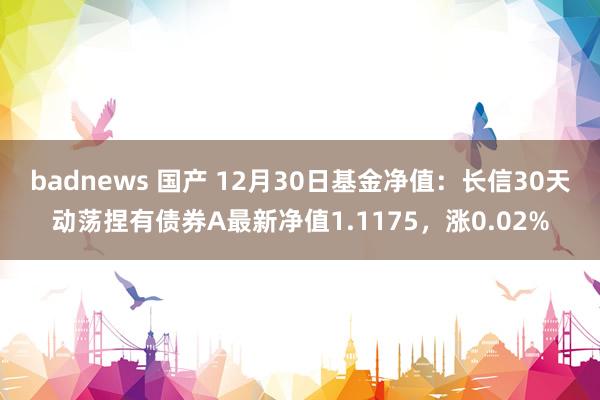 badnews 国产 12月30日基金净值：长信30天动荡捏有债券A最新净值1.1175，涨0.02%