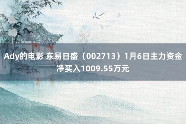 Ady的电影 东易日盛（002713）1月6日主力资金净买入1009.55万元