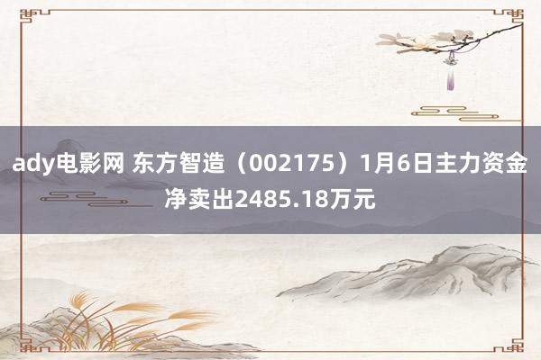 ady电影网 东方智造（002175）1月6日主力资金净卖出2485.18万元