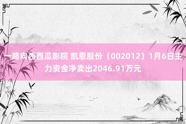 一路向西西瓜影院 凯恩股份（002012）1月6日主力资金净卖出2046.91万元