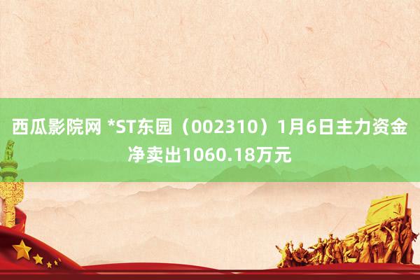 西瓜影院网 *ST东园（002310）1月6日主力资金净卖出1060.18万元