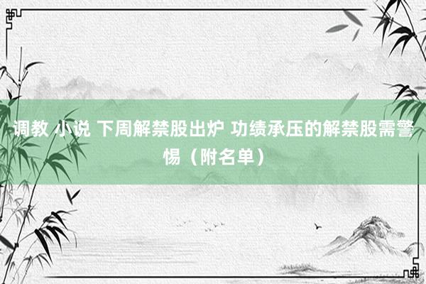 调教 小说 下周解禁股出炉 功绩承压的解禁股需警惕（附名单）