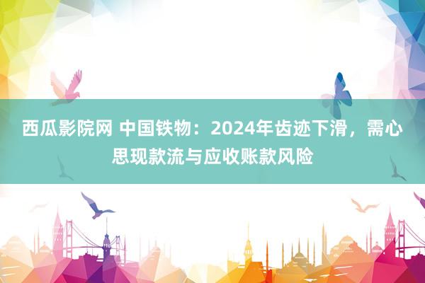 西瓜影院网 中国铁物：2024年齿迹下滑，需心思现款流与应收账款风险