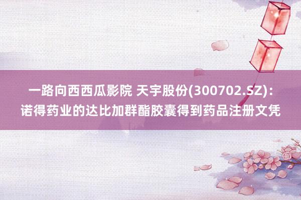 一路向西西瓜影院 天宇股份(300702.SZ)：诺得药业的达比加群酯胶囊得到药品注册文凭