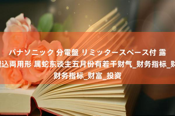 パナソニック 分電盤 リミッタースペース付 露出・半埋込両用形 属蛇东谈主五月份有若干财气_财务指标_财富_投资