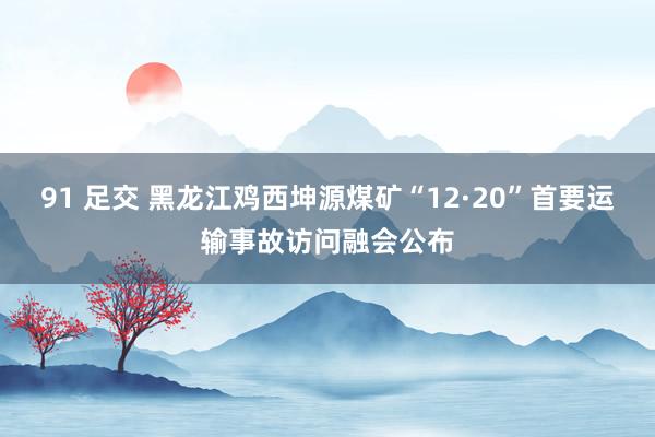 91 足交 黑龙江鸡西坤源煤矿“12·20”首要运输事故访问融会公布