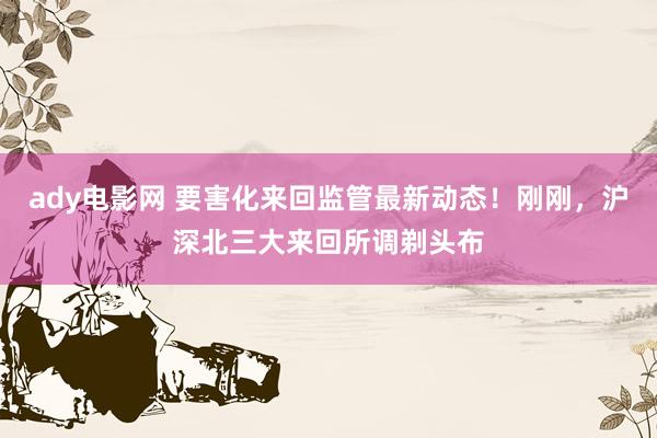 ady电影网 要害化来回监管最新动态！刚刚，沪深北三大来回所调剃头布