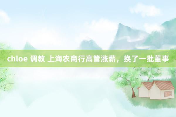 chloe 调教 上海农商行高管涨薪，换了一批董事