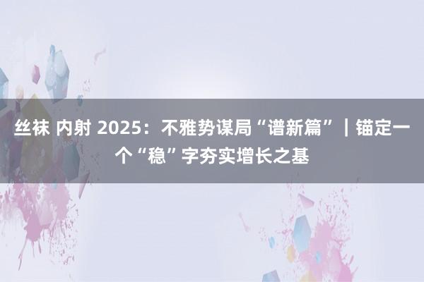 丝袜 内射 2025：不雅势谋局“谱新篇”｜锚定一个“稳”字　夯实增长之基