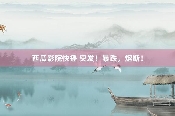 西瓜影院快播 突发！暴跌，熔断！