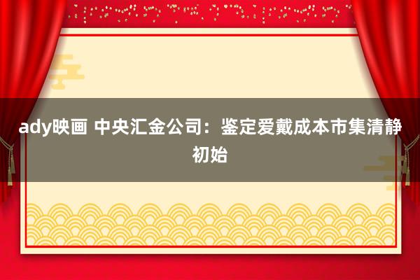 ady映画 中央汇金公司：鉴定爱戴成本市集清静初始