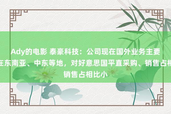 Ady的电影 泰豪科技：公司现在国外业务主要漫衍在东南亚、中东等地，对好意思国平直采购、销售占相比小
