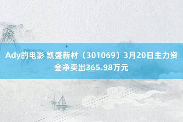 Ady的电影 凯盛新材（301069）3月20日主力资金净卖出365.98万元