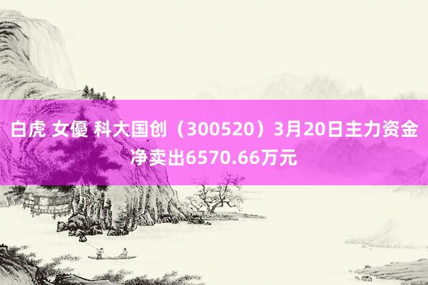 白虎 女優 科大国创（300520）3月20日主力资金净卖出6570.66万元