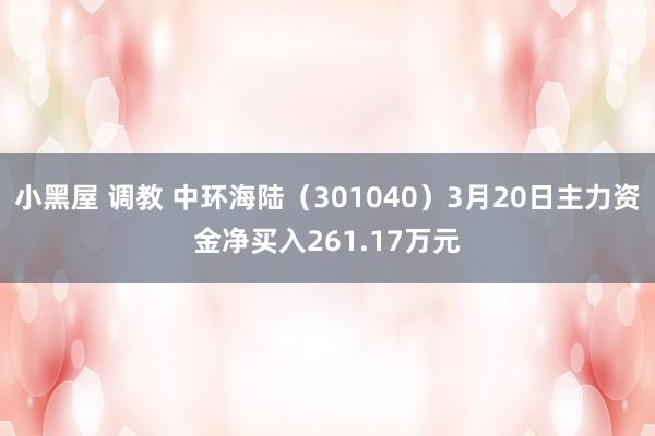 小黑屋 调教 中环海陆（301040）3月20日主力资金净买入261.17万元