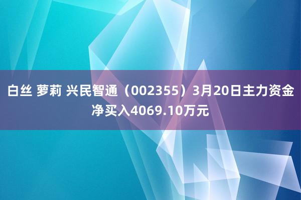 白丝 萝莉 兴民智通（002355）3月20日主力资金净买入4069.10万元