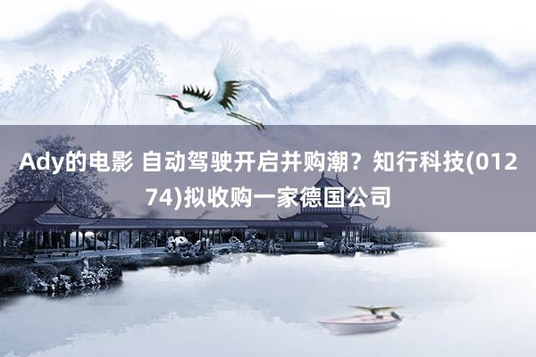 Ady的电影 自动驾驶开启并购潮？知行科技(01274)拟收购一家德国公司