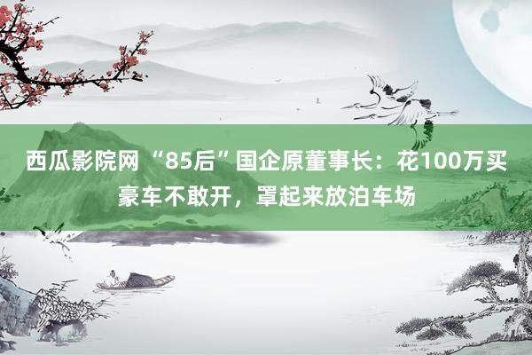 西瓜影院网 “85后”国企原董事长：花100万买豪车不敢开，罩起来放泊车场