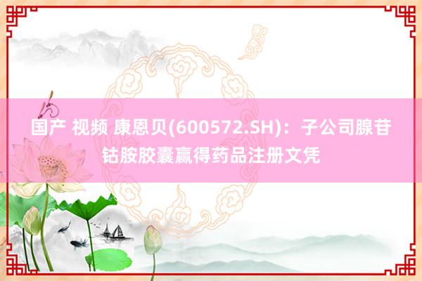 国产 视频 康恩贝(600572.SH)：子公司腺苷钴胺胶囊赢得药品注册文凭