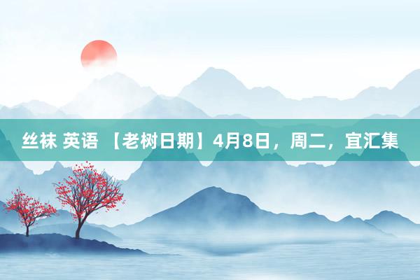 丝袜 英语 【老树日期】4月8日，周二，宜汇集