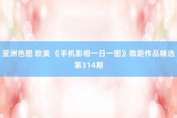 亚洲色图 欧美 《手机影相一日一图》微距作品精选第314期