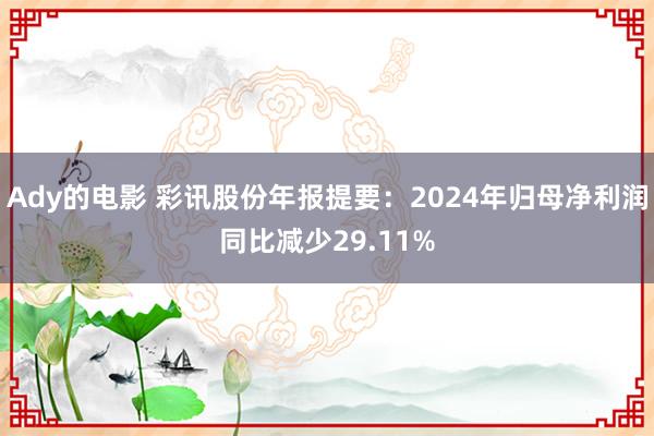 Ady的电影 彩讯股份年报提要：2024年归母净利润同比减少29.11%