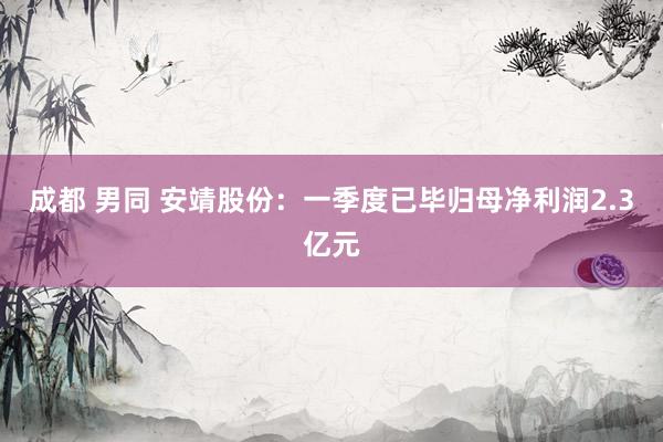 成都 男同 安靖股份：一季度已毕归母净利润2.3亿元