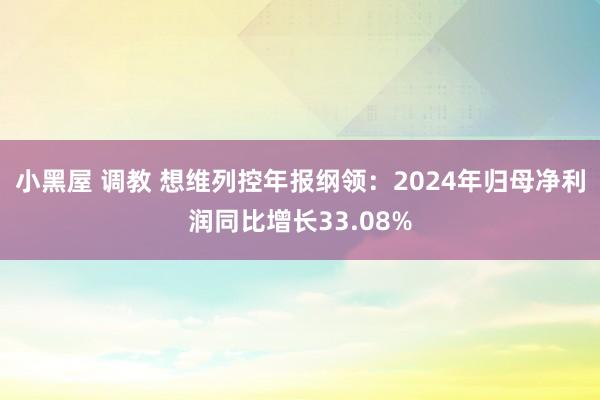 小黑屋 调教 想维列控年报纲领：2024年归母净利润同比增长33.08%