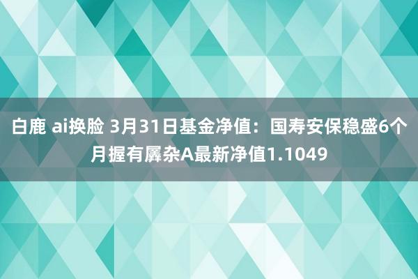 白鹿 ai换脸 3月31日基金净值：国寿安保稳盛6个月握有羼杂A最新净值1.1049
