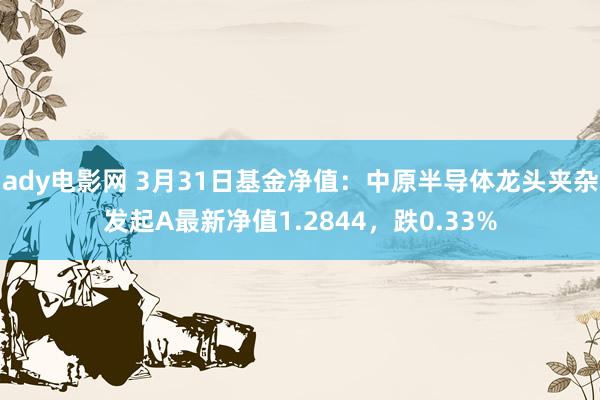 ady电影网 3月31日基金净值：中原半导体龙头夹杂发起A最新净值1.2844，跌0.33%