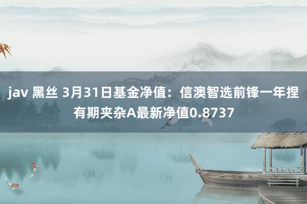 jav 黑丝 3月31日基金净值：信澳智选前锋一年捏有期夹杂A最新净值0.8737