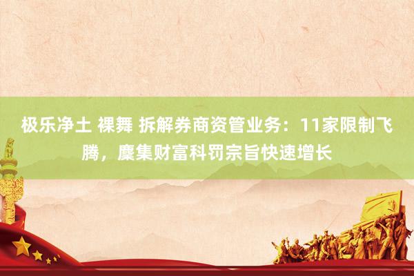 极乐净土 裸舞 拆解券商资管业务：11家限制飞腾，麇集财富科罚宗旨快速增长