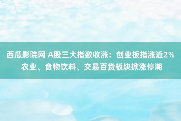 西瓜影院网 A股三大指数收涨：创业板指涨近2% 农业、食物饮料、交易百货板块掀涨停潮